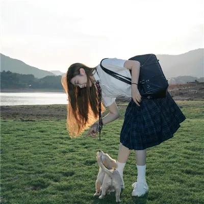 科学怪犬